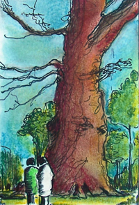 Aquarelle / 50 x 70