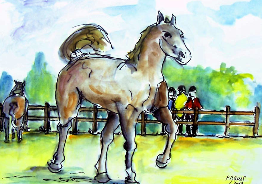 Aquarelle / 30 x 20
