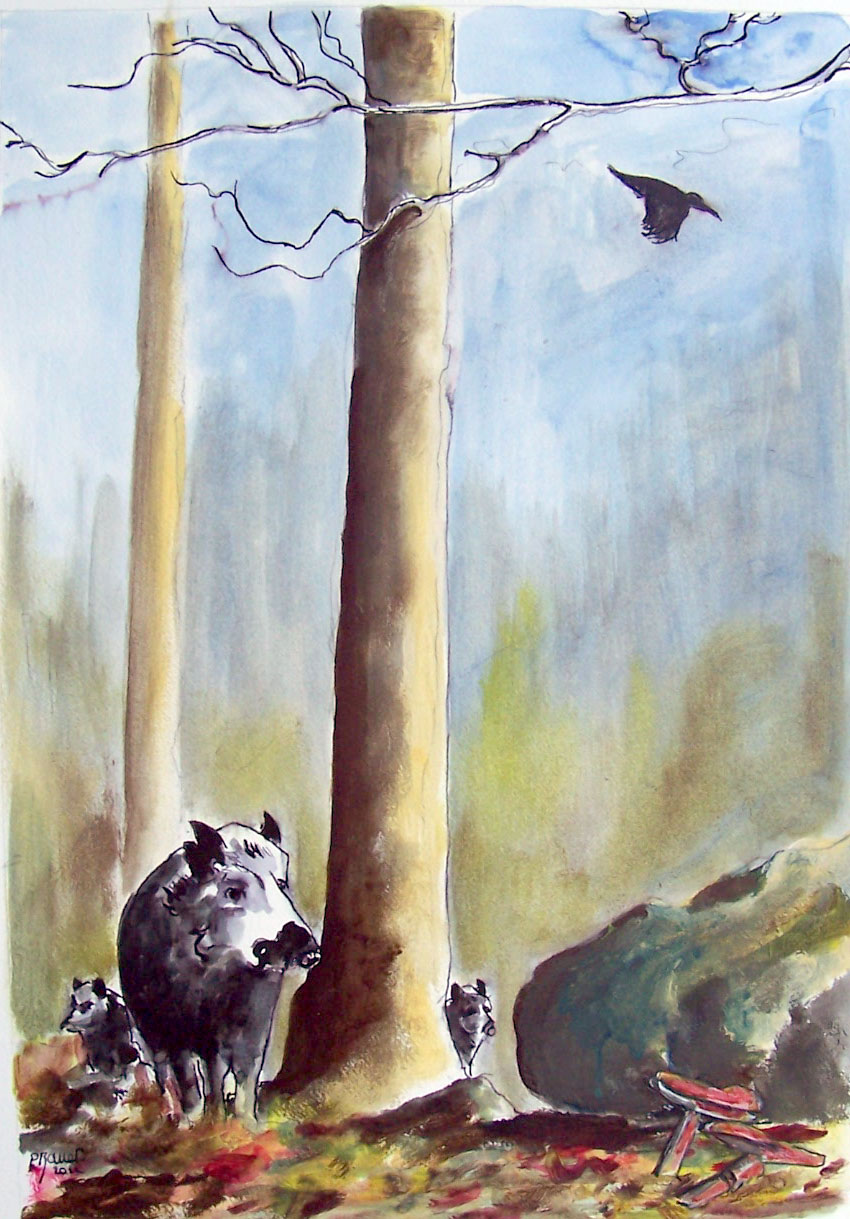 Aquarelle et encre / 50 x 70