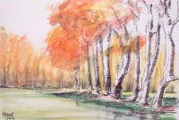 Rive en automne / Encre et aquarelle / 45 x 30