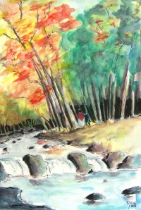 Sous bois et son torrent / Aquarelle / 50 x 70