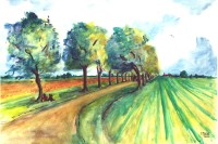 Le long du champs / Aquarelle / 70 x 50