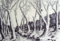 Chemin de l'orée du bois / Encre / 65 x 50