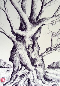 L'arbre travaillé / Encre / 65 x 50