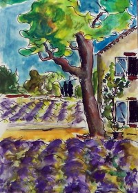 Les lavandes / Aquarelle et encre / 40 x 30