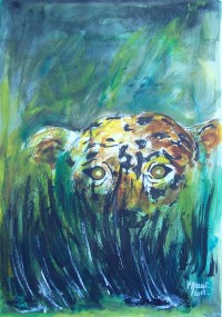 A l affut / Aquarelle et gouache / 65 x 50