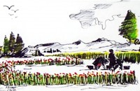 Coquelicots et glaneuses / Encre et aquarelle / 40 x 30