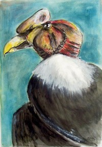 Le condor / Encre et aquarelle / 50 x 70