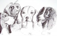 La compagnie canine / Encre / 70 x 50