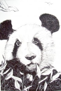 Suis je le dernier des pandas ? / Encre / 50 x 70 