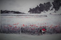 Champs de coquelicots / Encre et aquarelle / 70 x 50