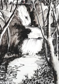 Torrent et ses cascades / Encre / 50 x 70 