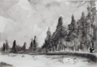 Rive boisée 1 / Encre / 70 x 50 