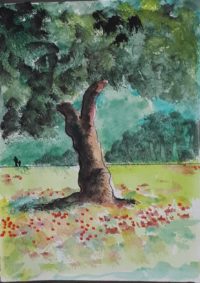 Au pied de l'arbre / Aquarelle et encre / 30 x 50