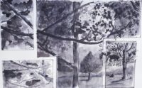 Etudes paysages / Encre / 70 x 50 