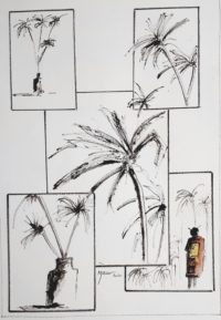 Végétation, études 02 / Encre et aquarelle / 50 x 70 