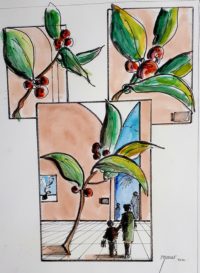Végétation, études 03 / Encre et aquarelle / 50 x 70 