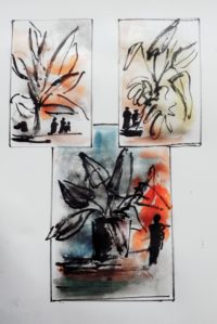 Etude végétation / Encre et aquarelle / 50 x 70 