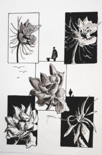 Etude florale / Encre / 50 x 70 