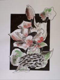 Etudes florales 05 / Encre / 50 x 70