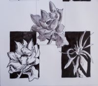 Etudes florales 06 / Encre / 50 x 70