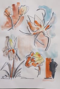 Décor floral 04 / Aquarelle et encre / 30 x 50 