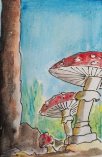 Champignons à la Hockney / Aquarelle et encre / 30 x 50