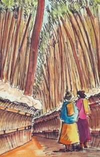 L'allée des bambous / Aquarelle et encre / 30 x 50 