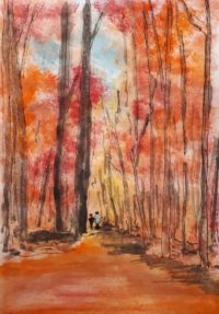 Sentier forestier / Aquarelle et encre / 30 x 50