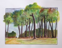 Sous les pins / Aquarelle et encre / 70 x 50 