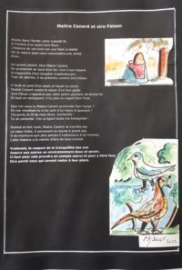 Fable courte: Maitre Canard et Sire Faisant / Aquarelle et encre / 30 x 50 
