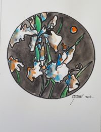 Iris / Aquarelle et encre / 30 x 50