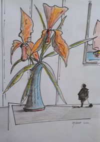 Vase avec orchidées / Crayons encre et aquarelle / 30 x 50