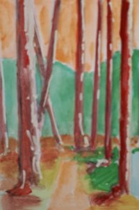 Le chemin des arbres / Aquarelle et encre / 30 x 50