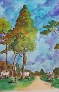 Vivre en liberté / Aquarelle et encre / 50 x 70