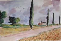 L'allée des cyprès / Aquarelle et encre / 70 x 50