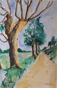 Bordure du sentier / Aquarelle et encre / 50 x 70