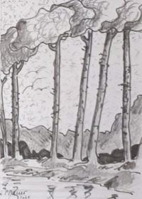 Bordure du ru / Encre / 30 x 50 