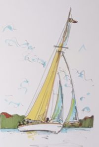 Coursier au vent / Aquarelle et encre / 30 x 50