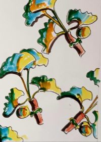 Un peu de botanique / Aquarelle et encre / 30 x 50 