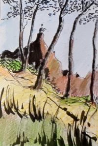 Au sommet / Aquarelle et encre / 30 x 50 